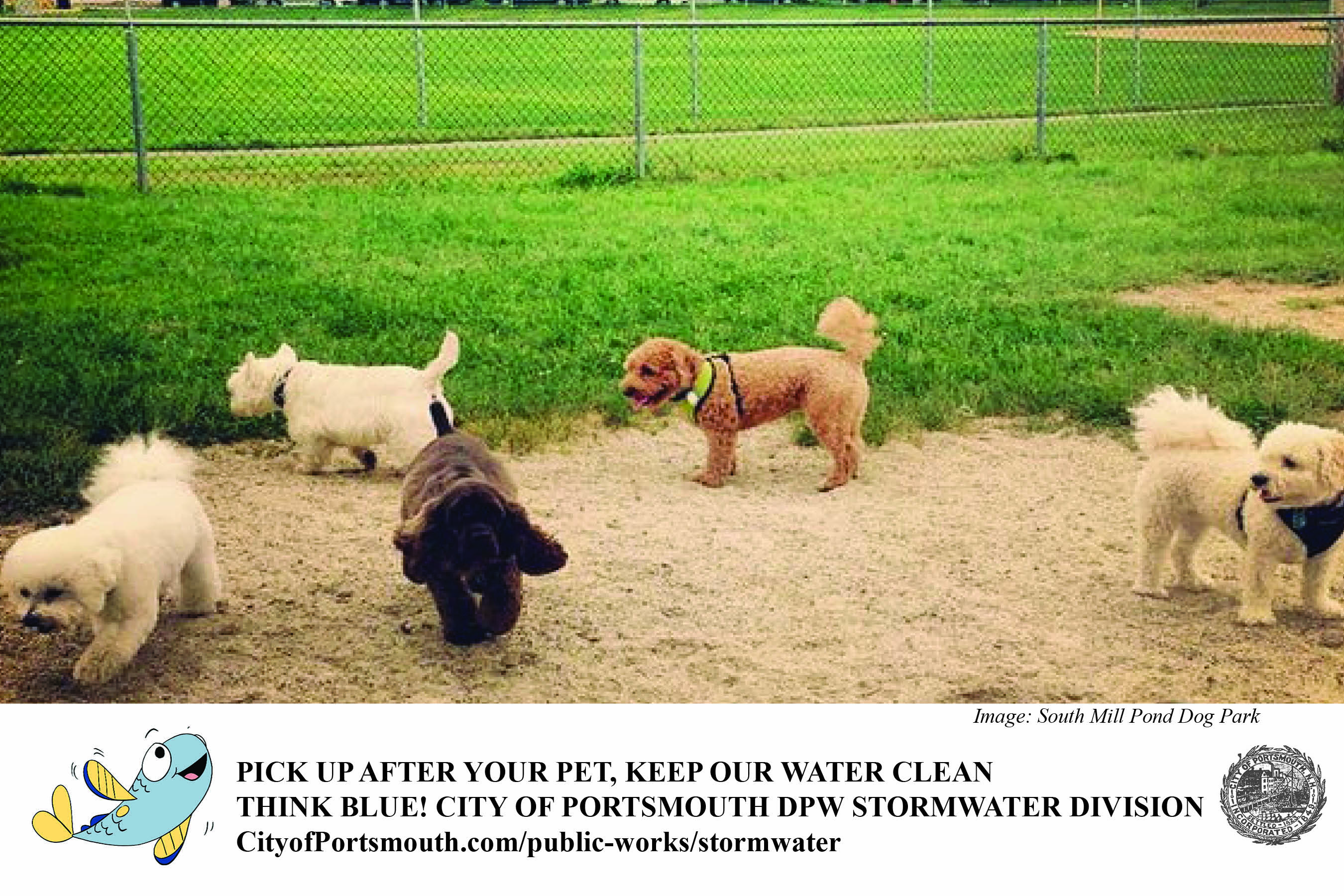 Pick up after pets flyer