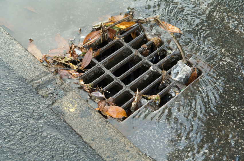 Stormwater catch basin with leaves