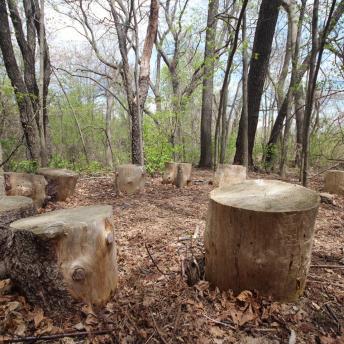 Seats on the Trail at New Franklin School