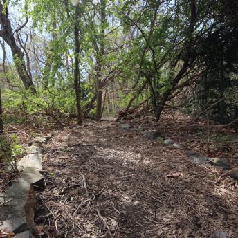 Trail at New Franklin School