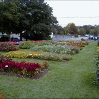 The “Trial Gardens” With Hundreds Of Plant Varieties