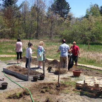 Working In The Garden