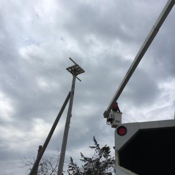 Bird platform at Peirce Island