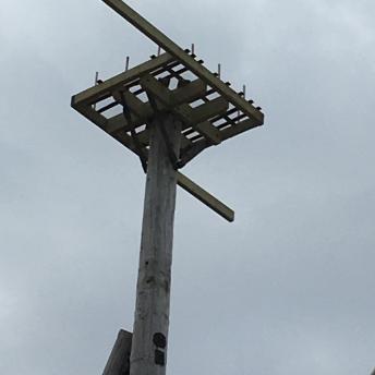 Bird platform at Peirce Island