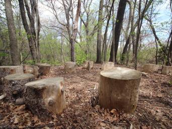 Seats on the Trail at New Franklin School