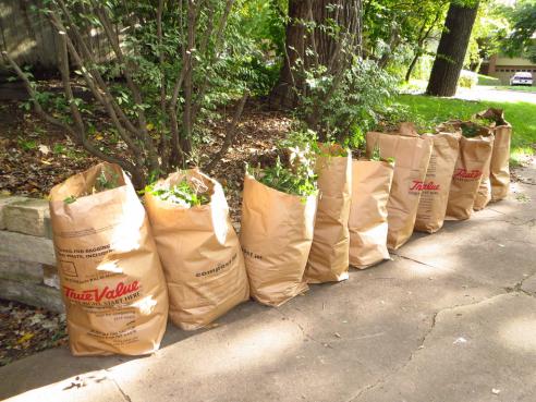 Bagged leaves