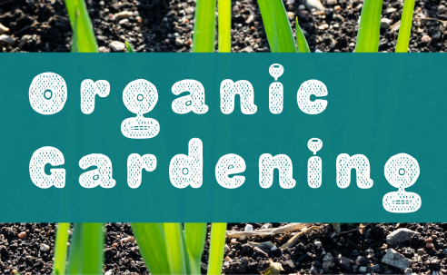 Organic Gardening