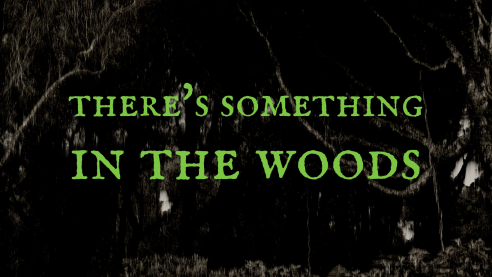 There's Something in the Woods