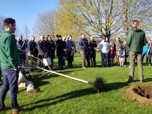 City tree-planting on Arbor Day