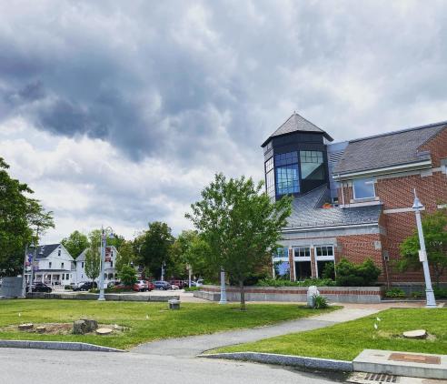 Library with infested ash trees removed.