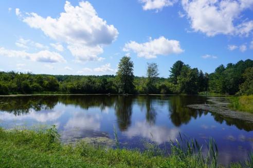 Bellamy Reservoir 