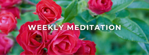 Weekly Meditation Red rOSES AND GREENERY