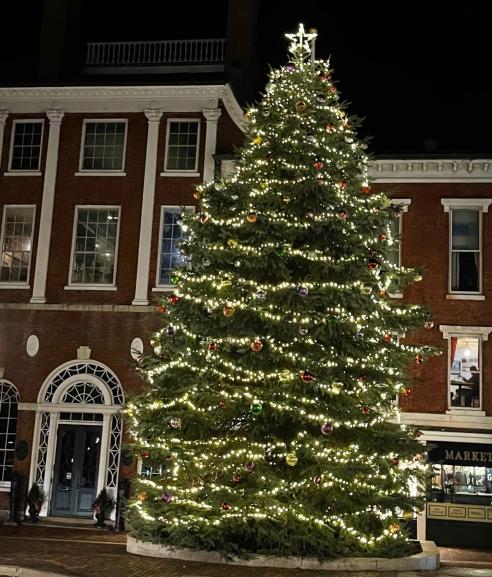 Portsmouth NH Holiday Tree