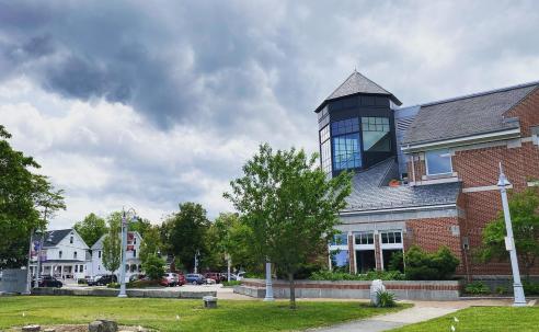 Library with infested ash trees removed.